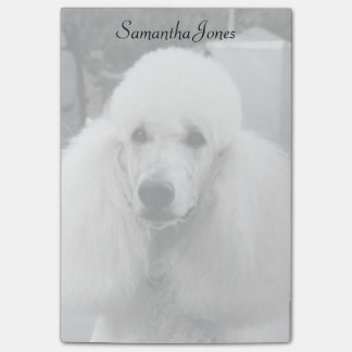 Post-it® Notas de post-it del perro de caniche