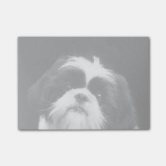 Post-it® Notas de post-it del perro de Shih Tzu