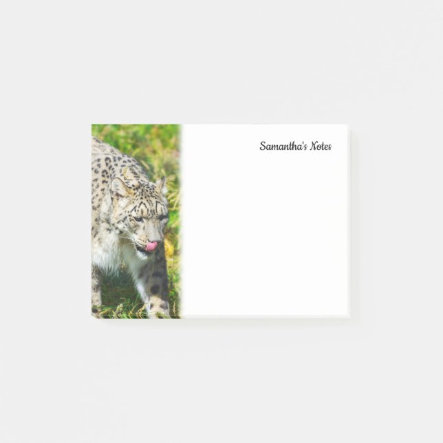 Post-it® Notas de Snow Leopard (Anverso)