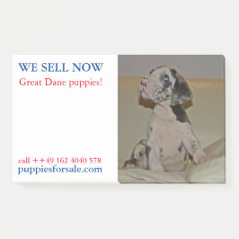 Post-it® Notas de venta de cachorros publicadas