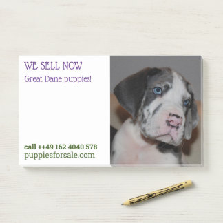Post-it® Notas de venta de cachorros publicadas