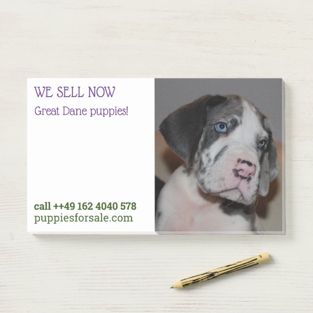 Post-it® Notas de venta de cachorros publicadas (En escritorio)