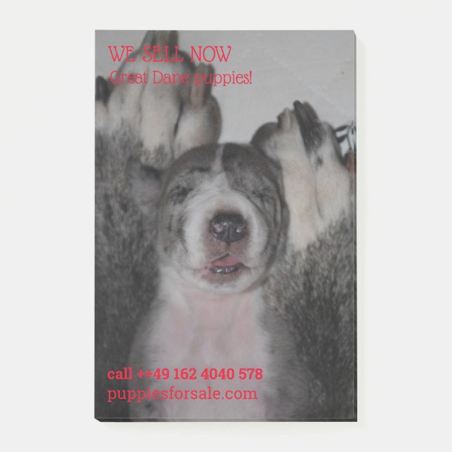 Post-it® Notas de venta de cachorros publicadas (Anverso)