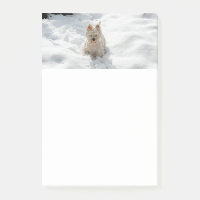Post-it® Notas de Westie blanco en la nieve (Anverso)