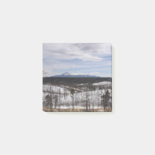 Post-it® Notas del post-it máximas de Pike