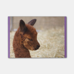 Post-it® Notas del Poste-it® de la alpaca