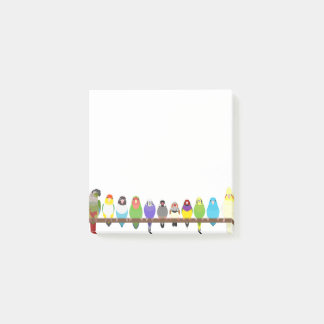 Post-it® Notas pegajosas de loros