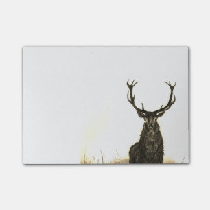 Post-it® Notas pegajosas del post-it de la fauna del macho