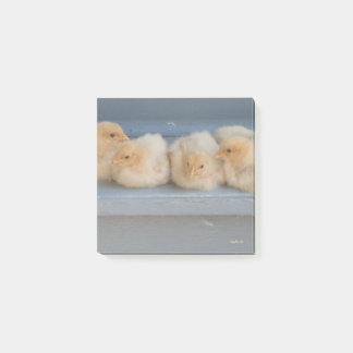 Post-it® Notas Post-it