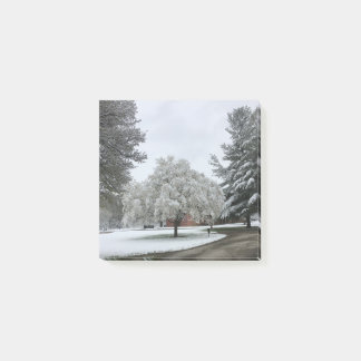 Post-it® Notas Post-it