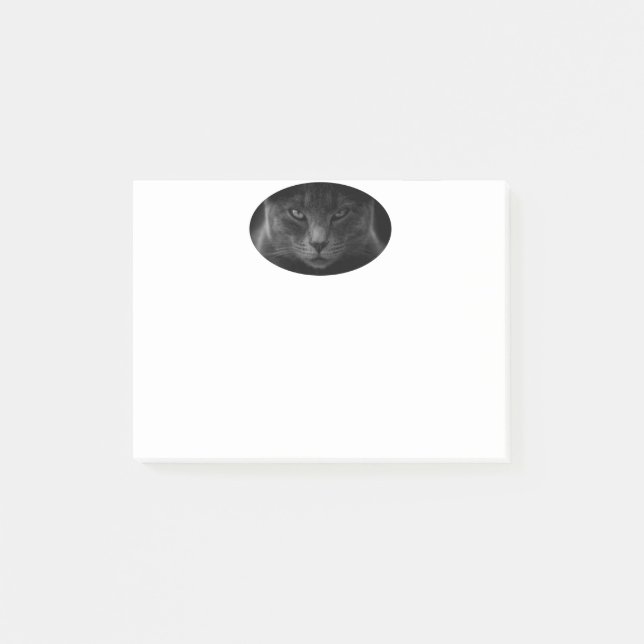 Post-it® Notas Post-it de Cat (Anverso)