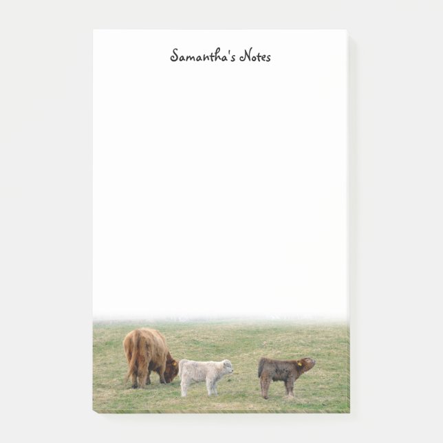 Post-it® Notas Post-it de la vaca de Highland (Anverso)