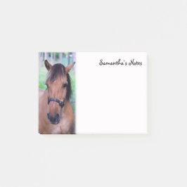 Post-it® Notas post-it del caballo
