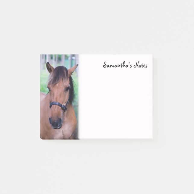 Post-it® Notas post-it del caballo (Anverso)
