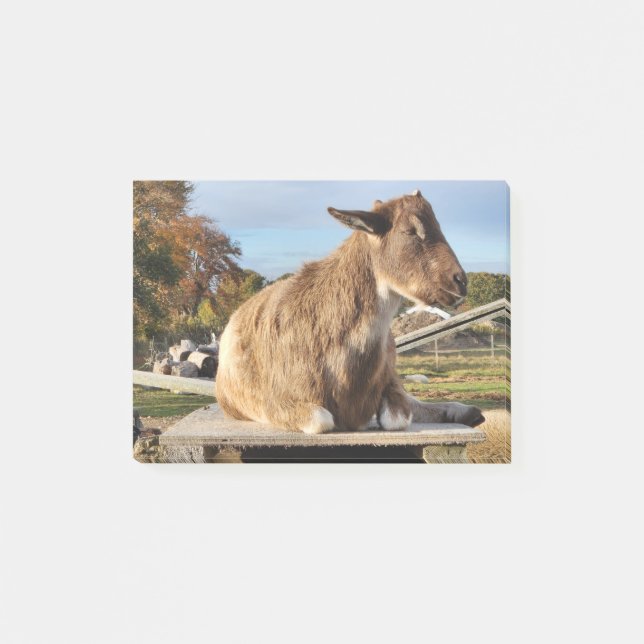 Post-it® Notas post-it "Goat" (Anverso)