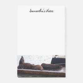 Post-it® Notas Post-it sobre los leones marinos