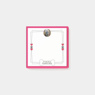 Post-it® Notas posteadas de fotos de perros con patas y cor