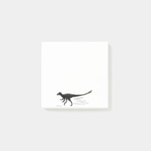 Notas posteriores a Lightning Claw