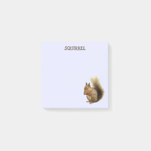 Post-it® Notas posteriores a Squirrel