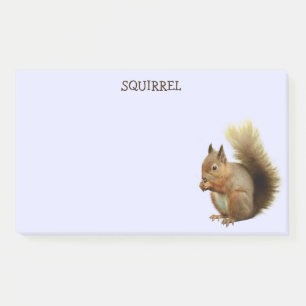 Post-it® Notas posteriores a Squirrel