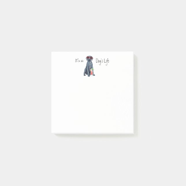 Post-it® Notas posteriores al verano sobre el gran danés (Anverso)