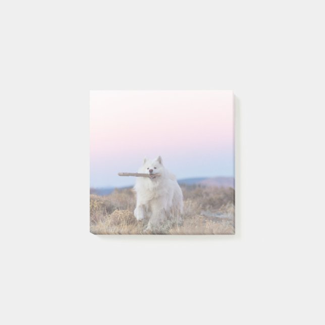 Post-it® Notas posteriores de 3"x3" - Branch Manager (Anverso)