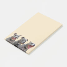 Notas sobre las personalidades de Pitbull