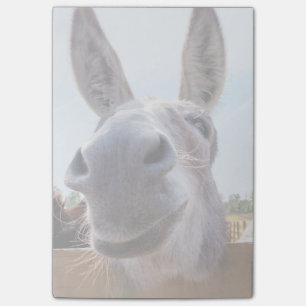 Post-it® Notas sonrientes de Donkey Post-It