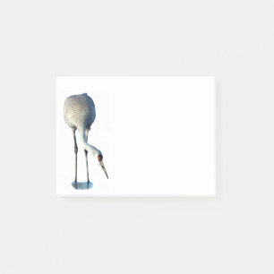 Post-it® Sandhill Crane Photo Stationery 4x3 Notas posterio