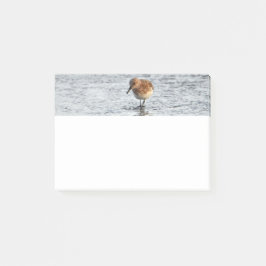 Post-it® Sandpiper Bird Photo Stationery 4x3 Notas Post-it
