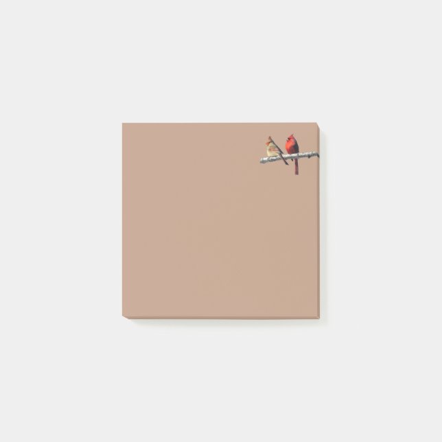 Post-it® Silent se pregunta publicar notas Cardinales. (Anverso)