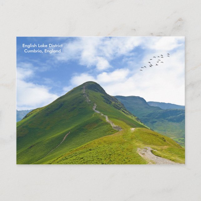 Postal (Anverso)