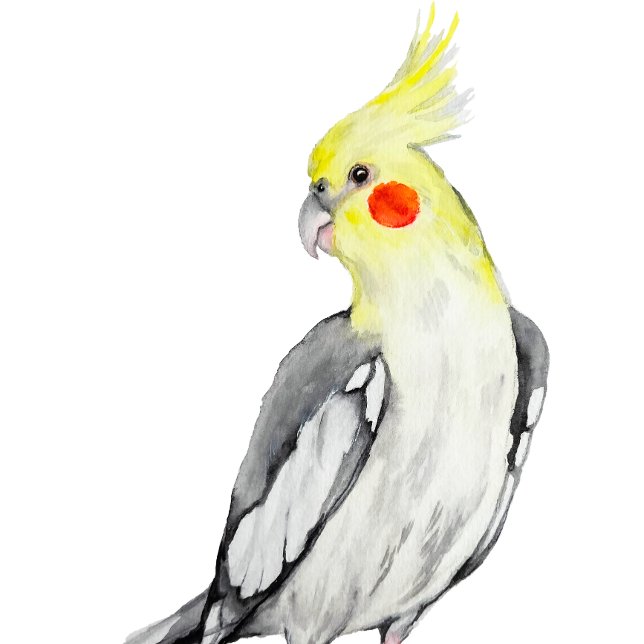 Postal (Subido por el creador)