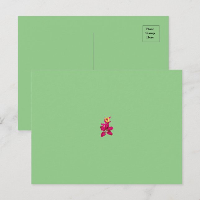 Postal (Anverso / Reverso)