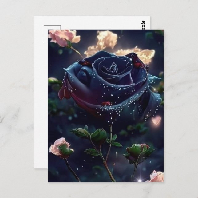 Postal (Anverso / Reverso)