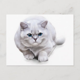 Postal С en British Shorthair