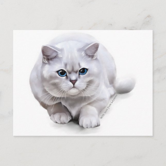 Postal С en British Shorthair (Anverso)