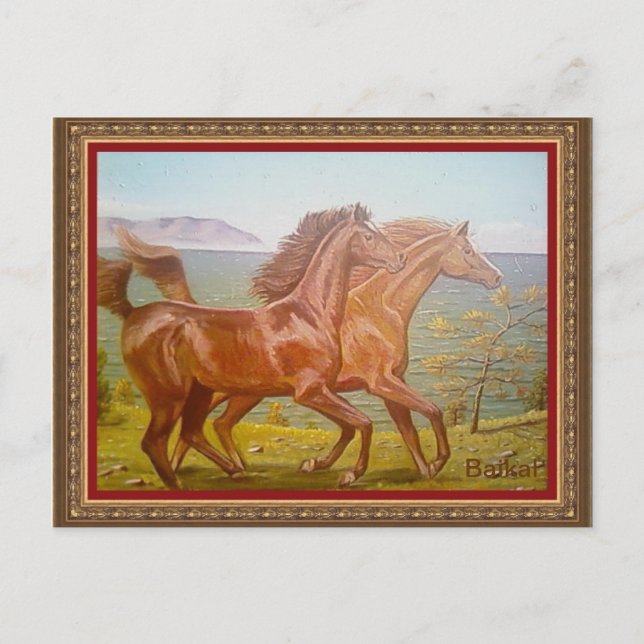 Postal л о ш а д н и а › (Anverso)