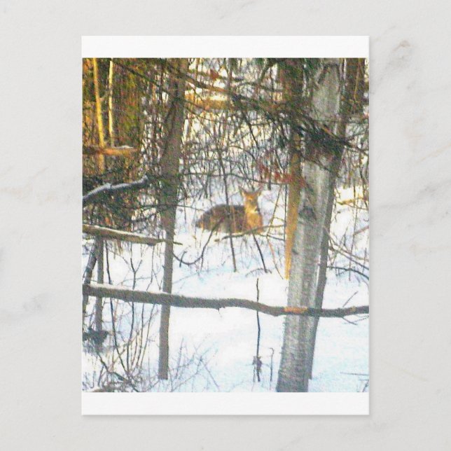 Postal ґ ḯ tℯ ✐ ℴ ℯ ♏ α tætsnithtæ (Anverso)