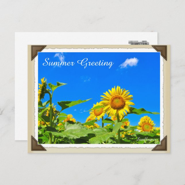 POSTAL ひ ま り (Anverso / Reverso)