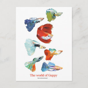 POSTAL グ・・グ・ズ