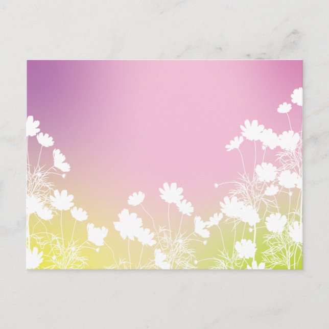 POSTAL コスモスの花｜秋の風を感じるポストカード (Anverso)