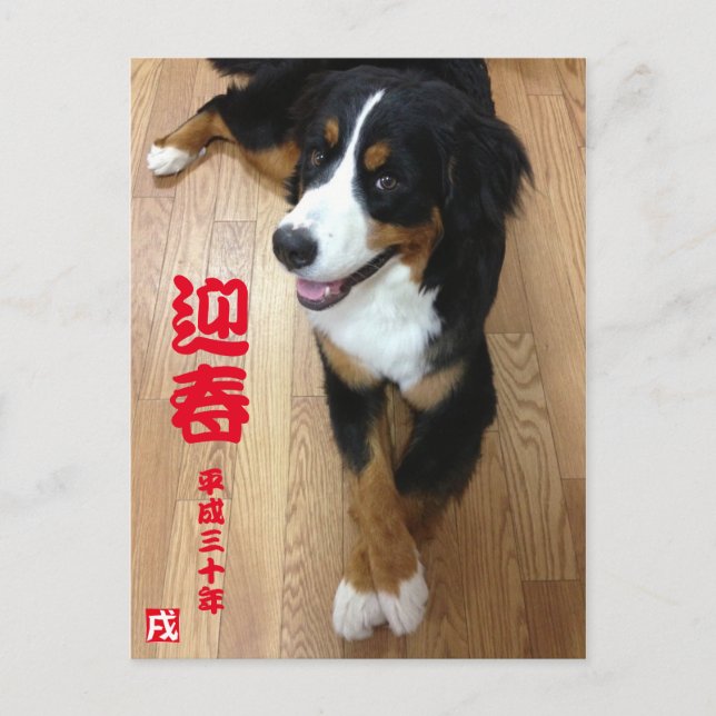 POSTAL バ・ズ・ウ マ テ・ グ・・・・・  2018^ (Anverso)