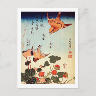 Postal ビ・に 鳥 y 北