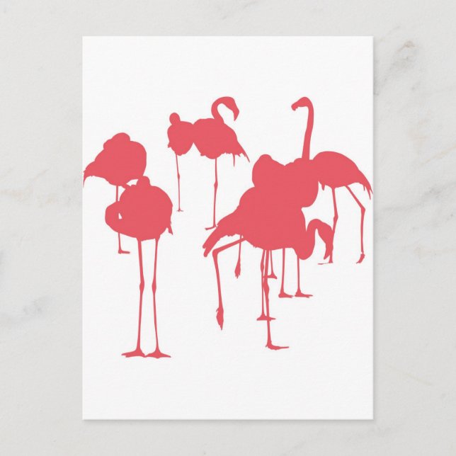 POSTAL フ ラ ミ ゴ (Anverso)