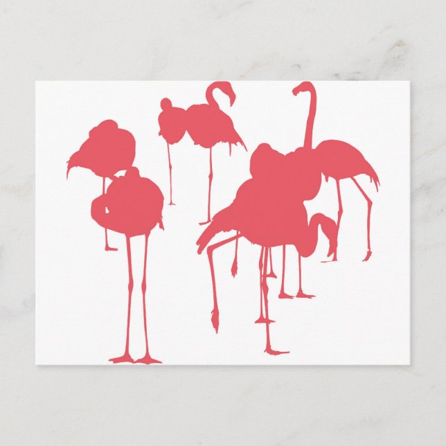 POSTAL フ ラ ミ ゴ (Anverso)