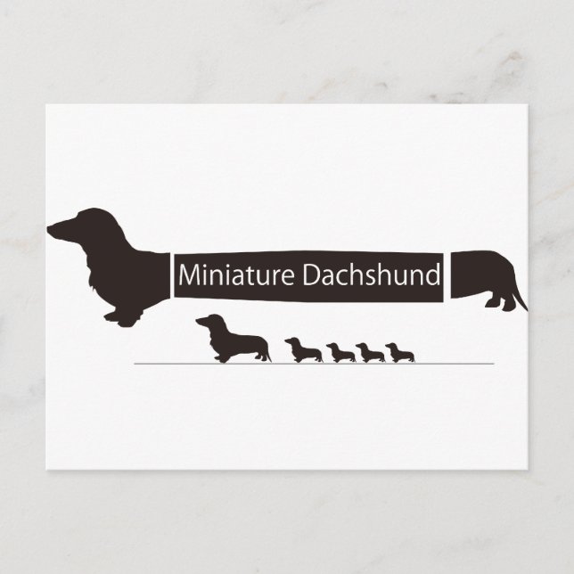 POSTAL ミ・ ュ ア ダ・フ ス・・・・・・ ` ` ` `・ `・・・・・・・ (Anverso)