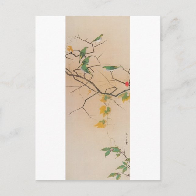 Postal メ ジ, 速 水 御, Ojo Blanco Japonés, Gyoshū, Arte Japon (Anverso)