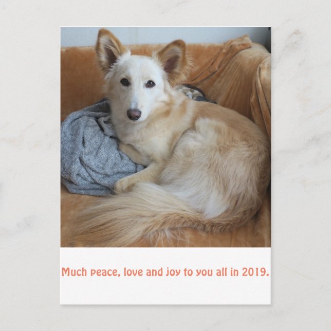 Postal ワ ル ド ミ・ド・・・・・æ2019^` (Anverso)