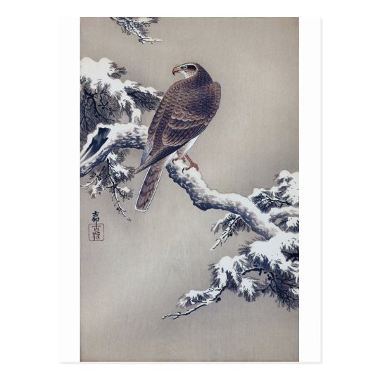 Postal 松に鷹, halcón del 古邨 en el árbol de pino, Ohara